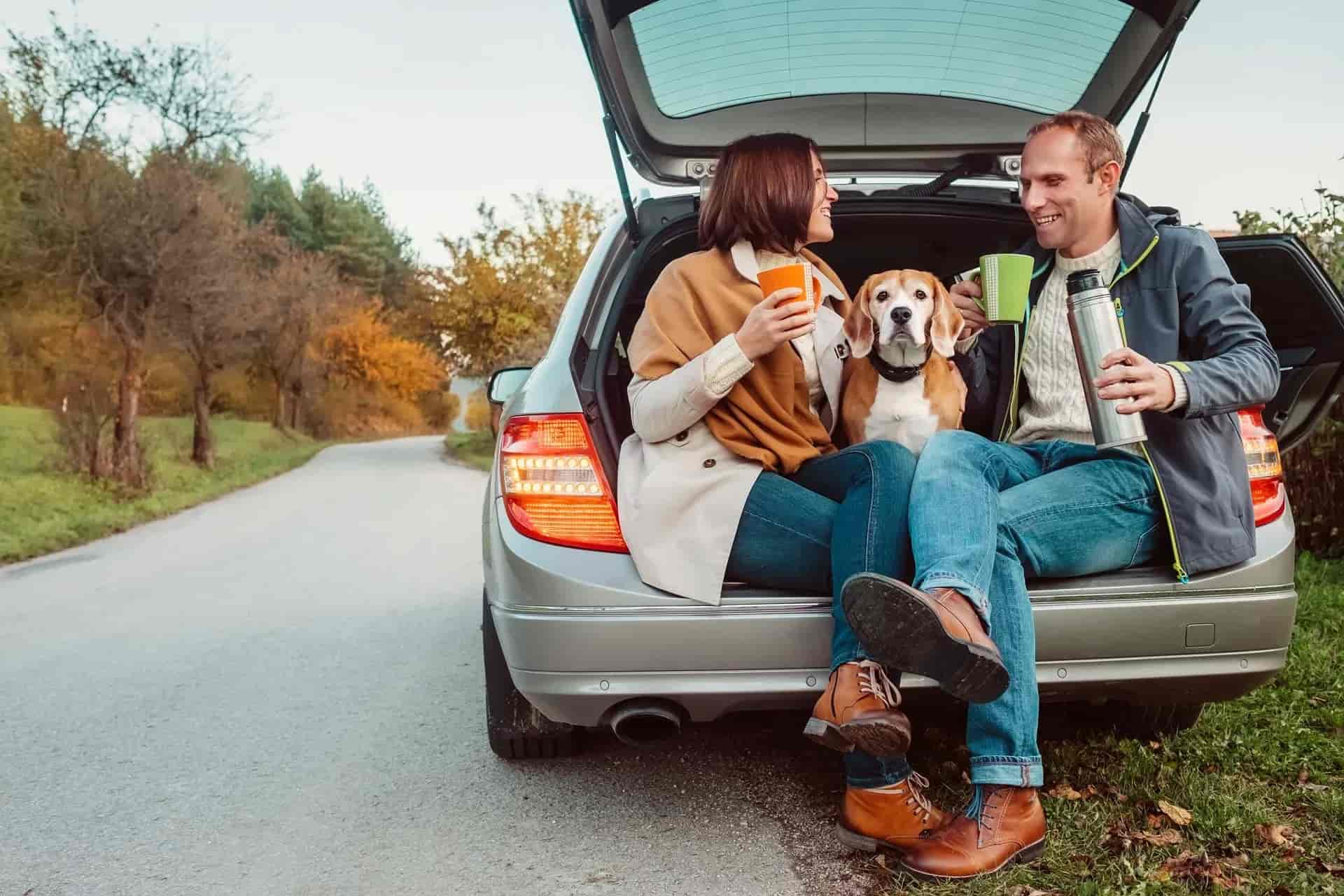 Couple and dog taking a break from self-drive holiday on country road in autumn