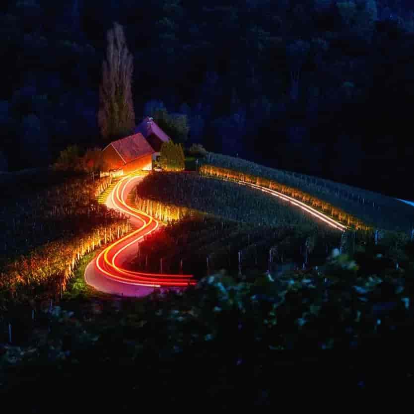 Winding road with light trails through Slovenian vineyards shaped like a heart at night.