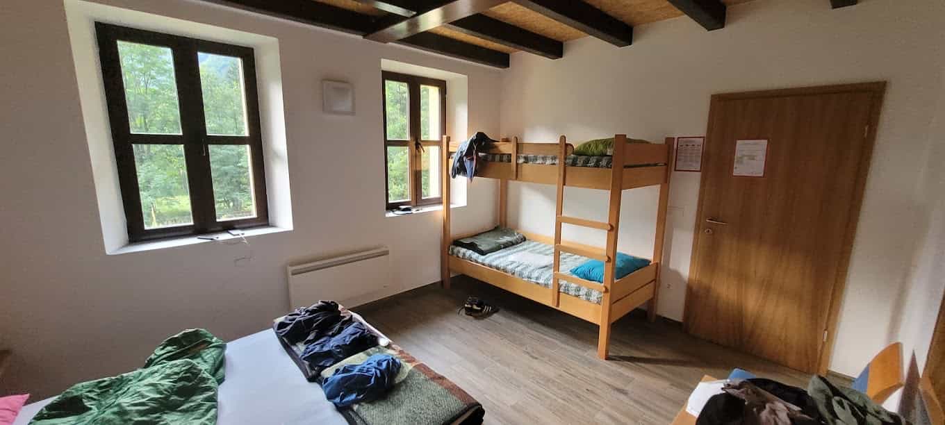 Dorm room with bunk beds, two windows showing green forest, and luggage on beds.