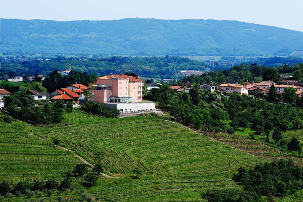 Hotel Kozana surrounded by green terraced vineyards with forested hills in the background.