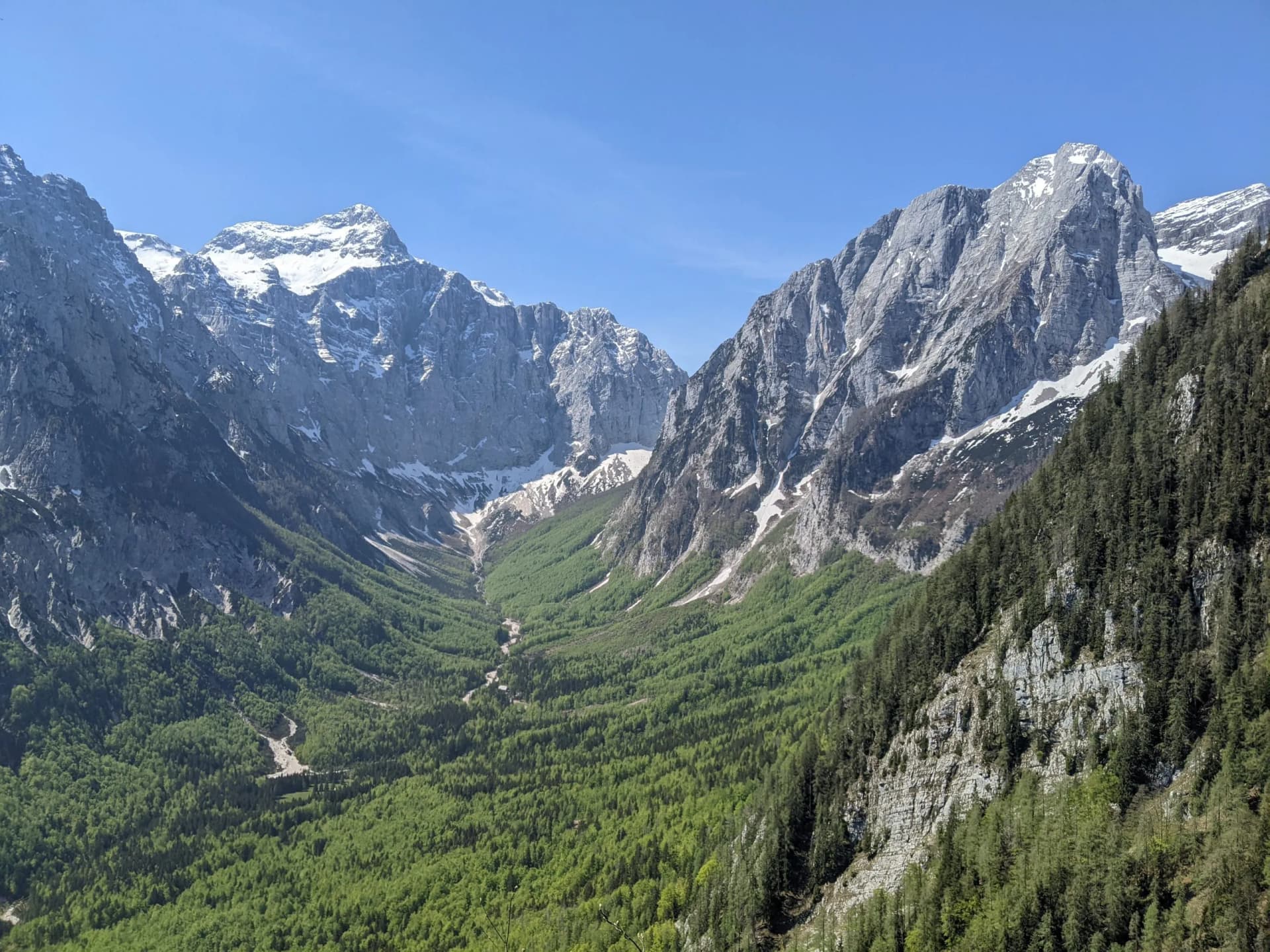 Vrata Valley with lush green forest floor and snow-capped rocky peaks under a clear blue sky.