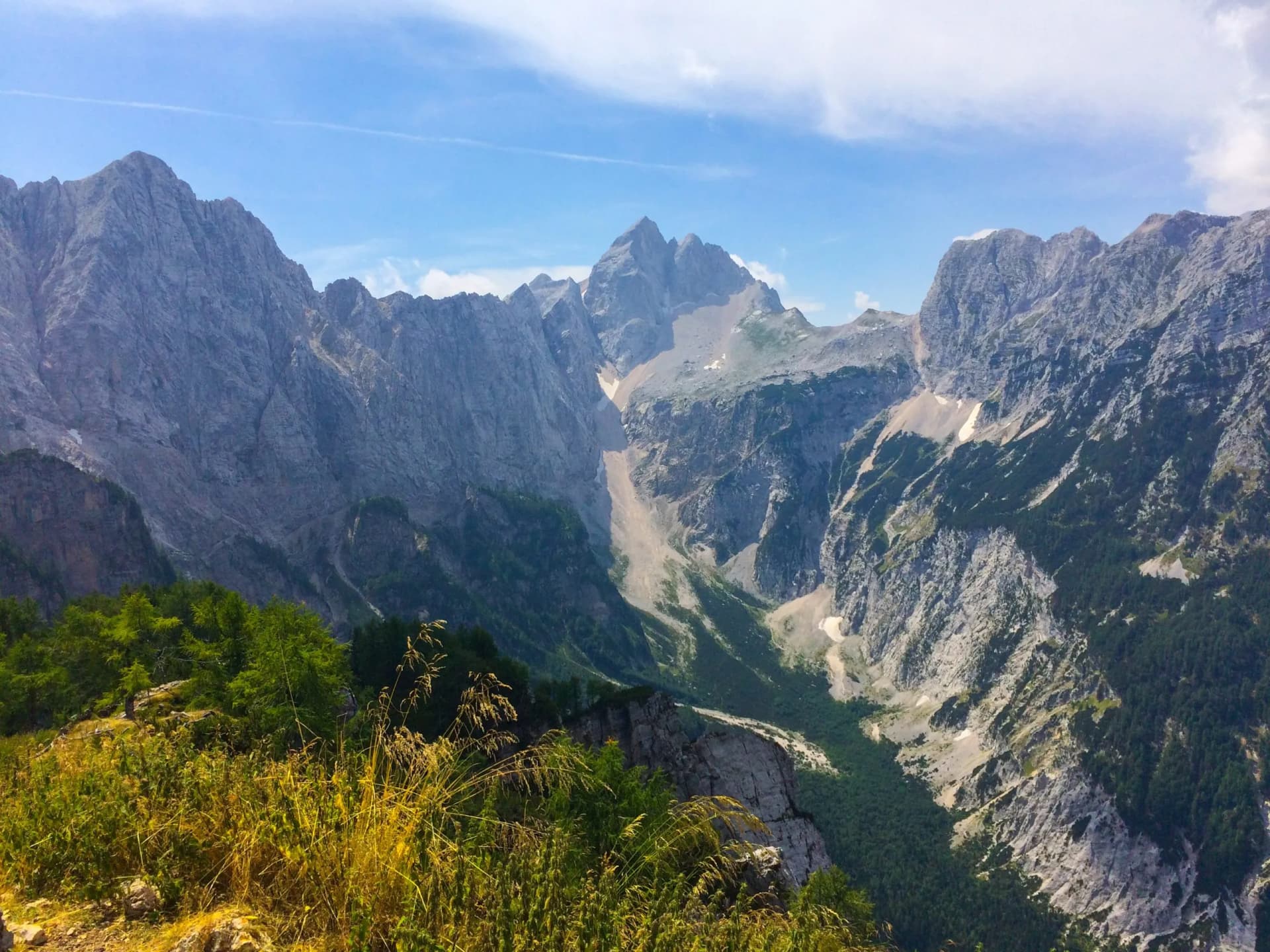 Rugged mountain peaks above a deep valley with green forest, viewed from a grassy overlook.