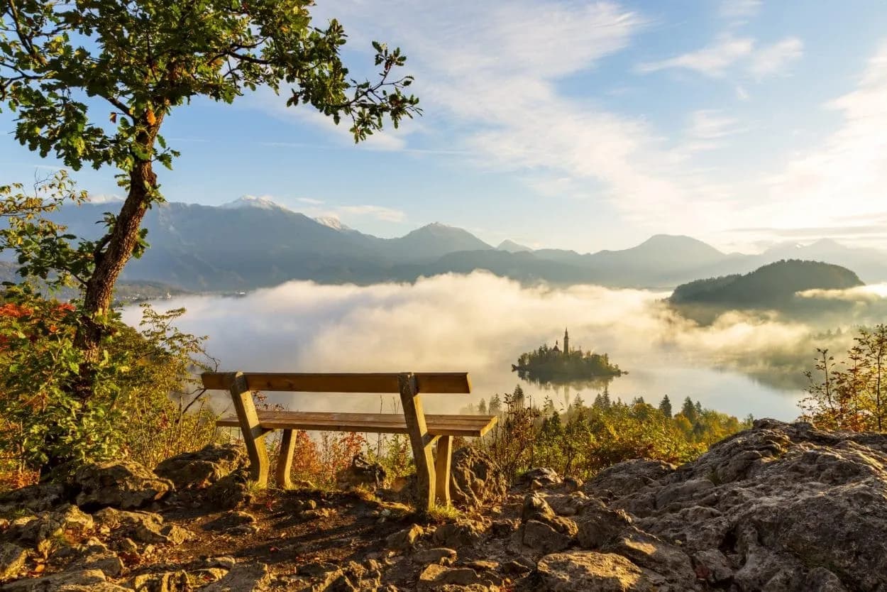 Wooden bench overlooking Lake Bled island church above morning fog and mountains.