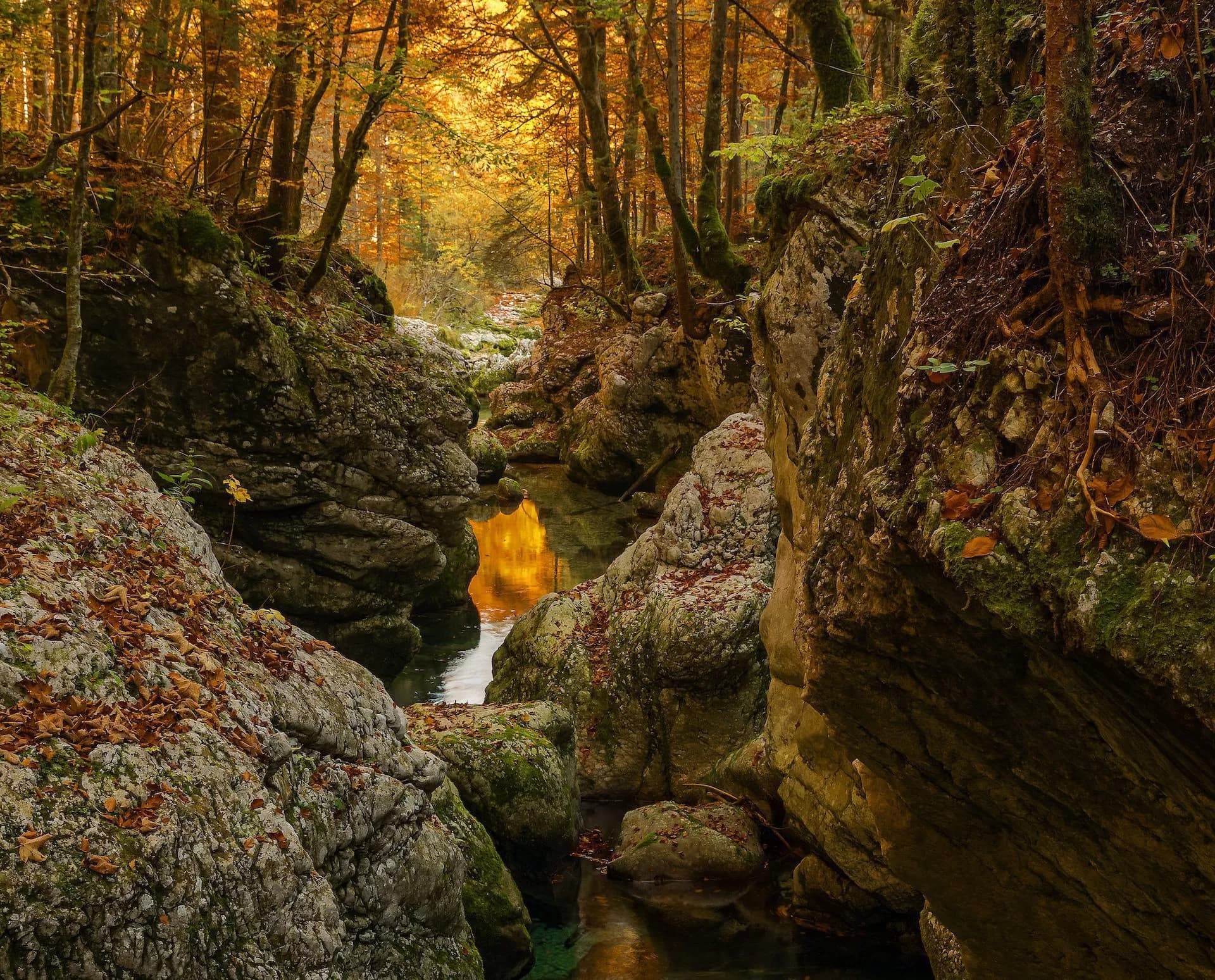 Stream flowing through Mostnica Gorge with mossy rocks and autumn foliage overhead.