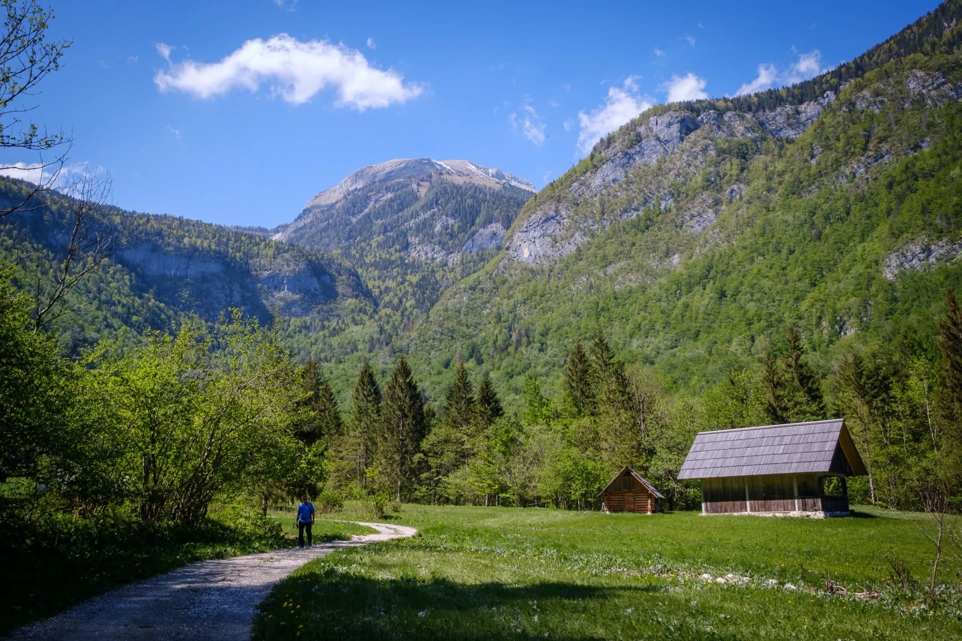 Hiker on path near wooden hut in Voje Valley near Bohinj, Slovenia with green mountains.