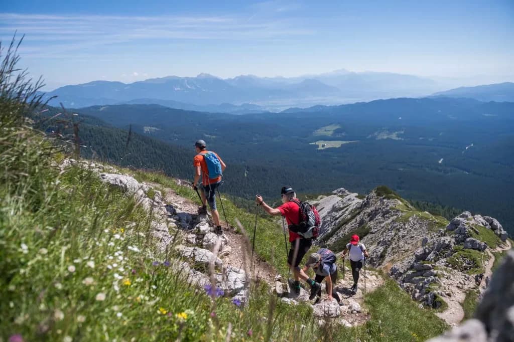 Hikers ascending rocky trail with wildflowers overlooking forested valleys and distant mountains near Viševnik.