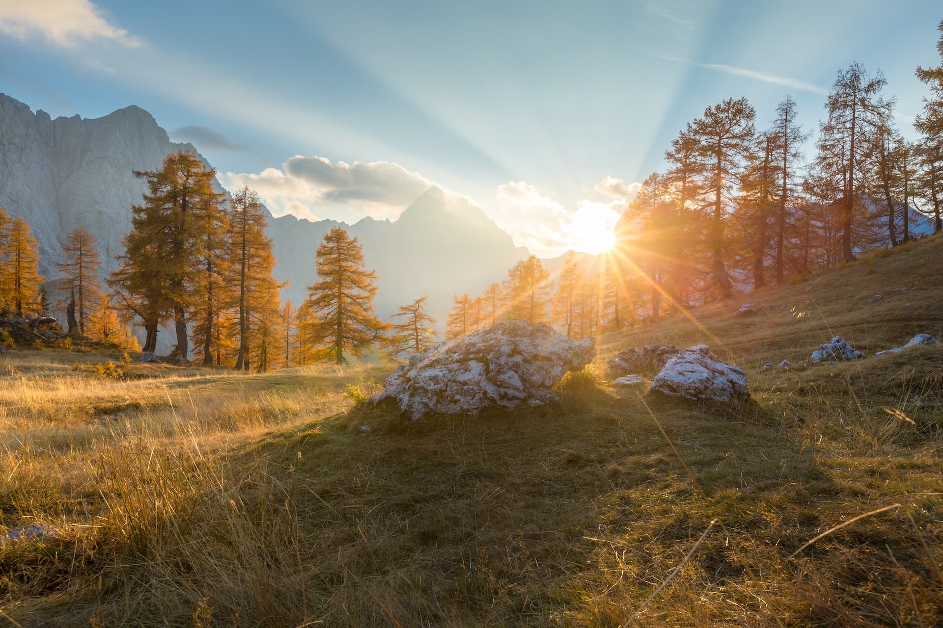 Yellow larches on grassy slope with rocks, mountains, and sunburst at Vršič Pass.