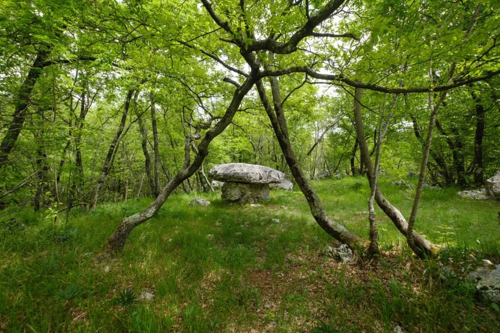 Stone mushroom dolmen framed by bright green trees in a karst forest clearing.