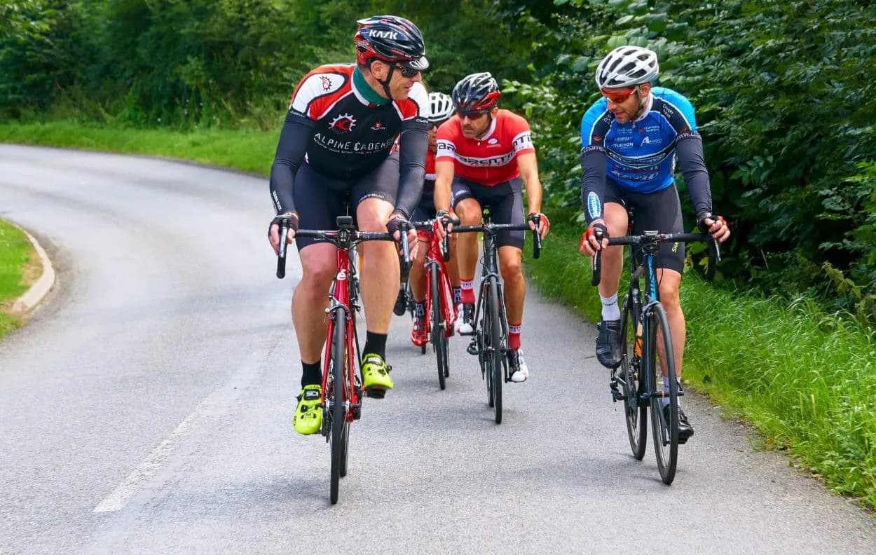 Group of cyclists riding road bikes on a paved road lined with green trees.