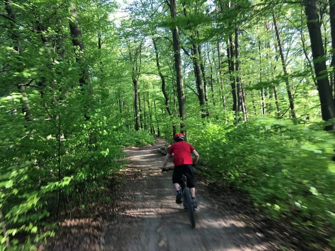 Mountain biking on a dirt trail through a lush green forest on Golovec.