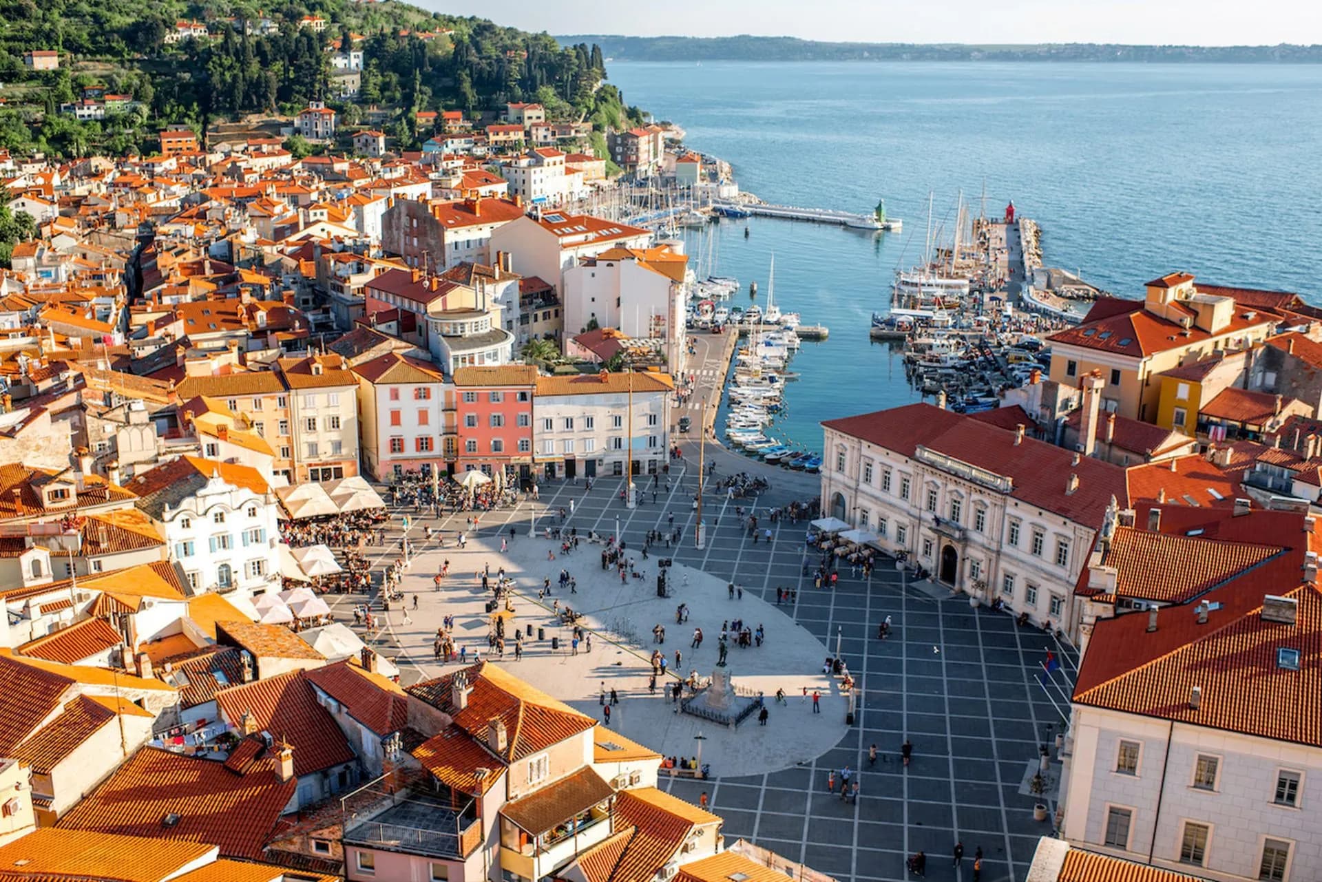 Tartini Square in Piran scaled 1