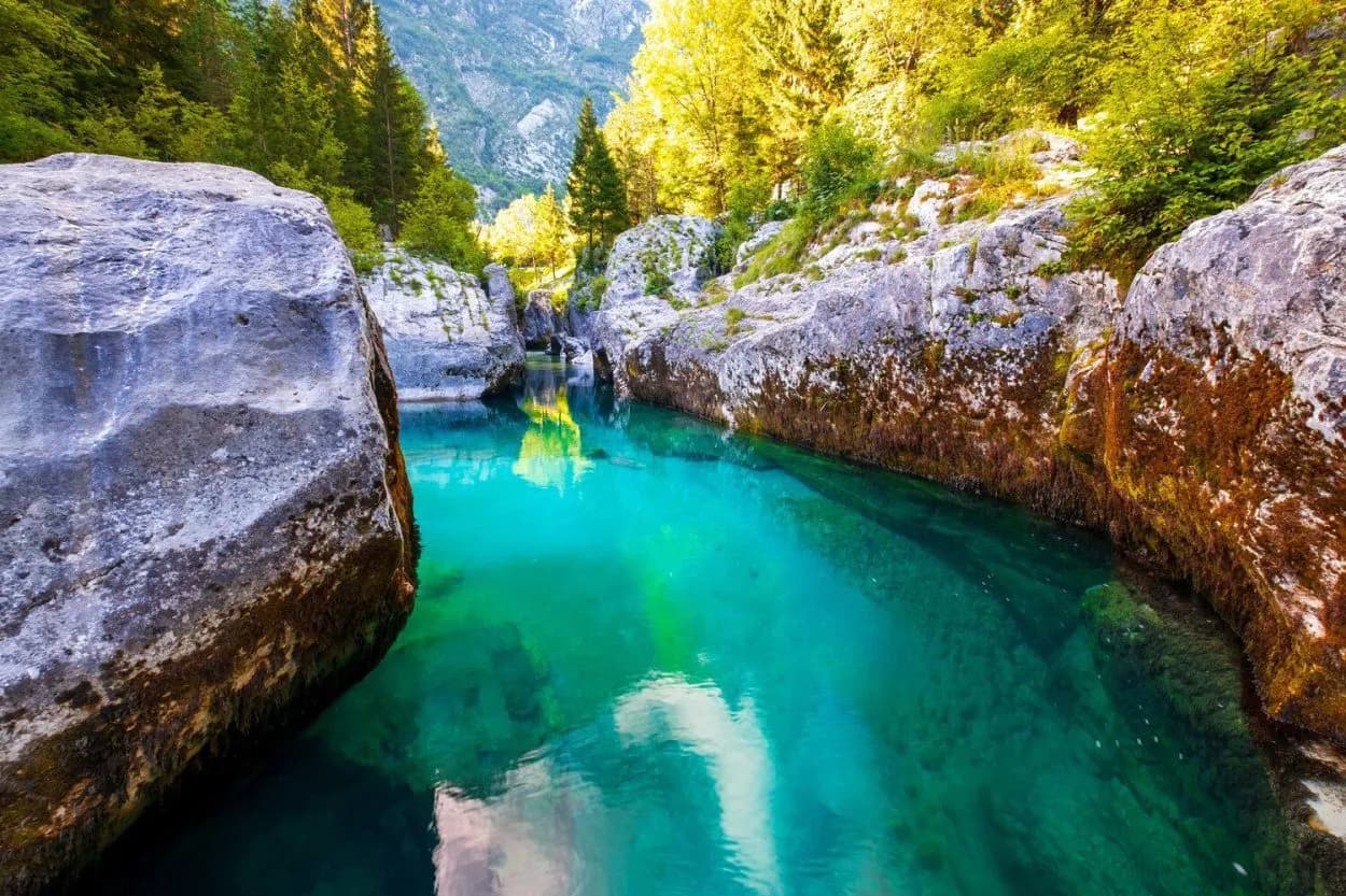 Emerald Soca River flowing between mossy rocks and dense forest in a gorge setting.