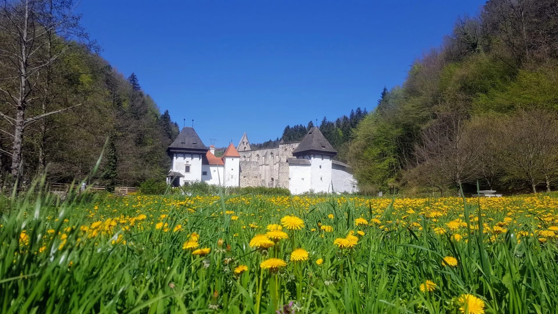 Zice charterhouse scaled 1