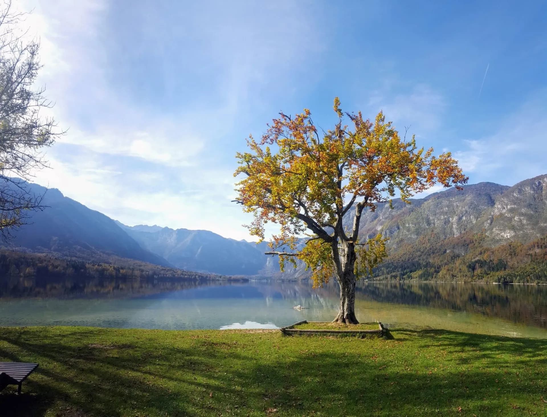 Bohinj Lake shores Easy Resize.com  scaled 1