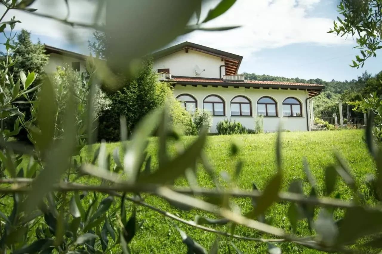 White building with arched windows seen through blurred olive leaves and green lawn