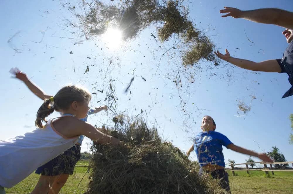 Children and adult throwing hay into the air under a bright sunny sky in a field.