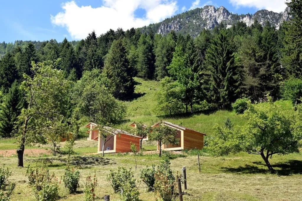 Wooden glamping houses in a grassy clearing below green forest and rocky mountains.
