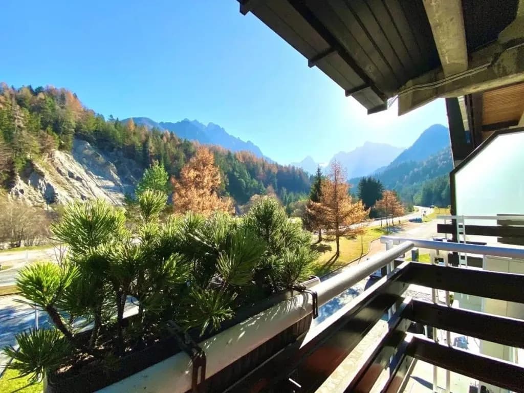 Balcony view of pine planter with sunny alpine mountain landscape and autumn trees in Kranjska Gora.