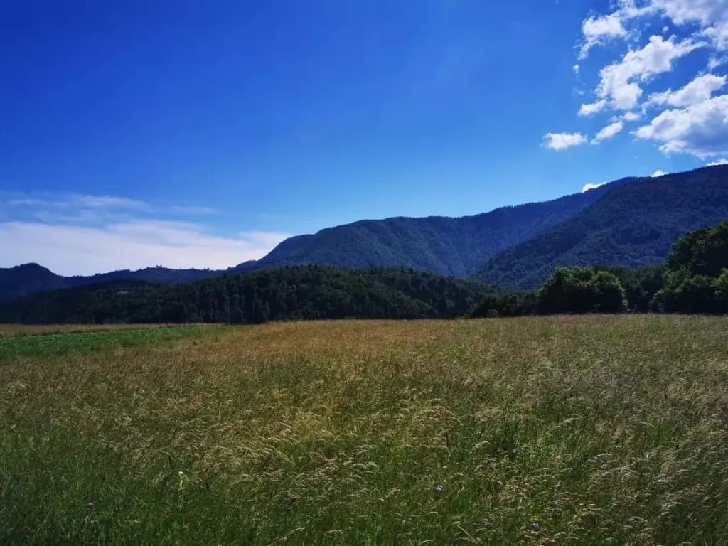 Grassy field in Zgornja Dobrava with dark, forested mountains under a bright blue sky.