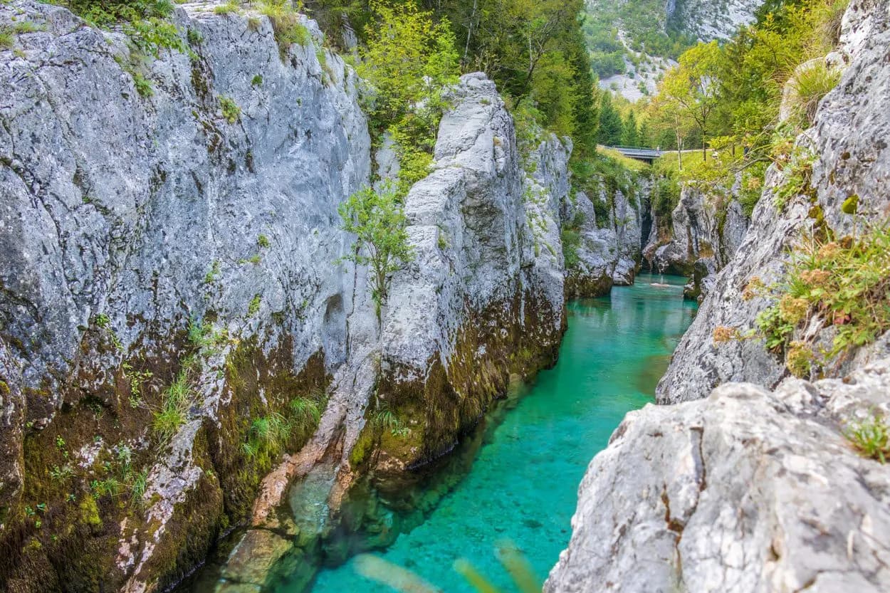 Turquoise river flowing through a narrow gorge with steep, moss-covered rock walls and green trees.