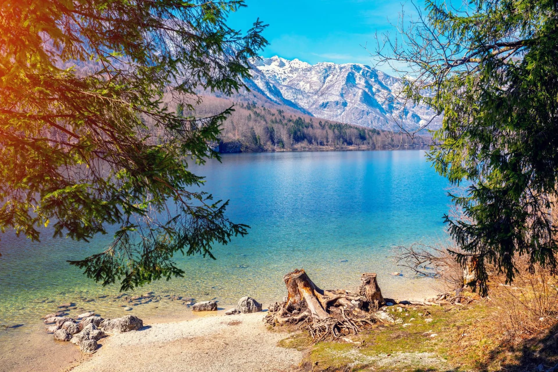 Alpine lake with clear water, snow-capped mountains, and tree branches framing the view in spring.