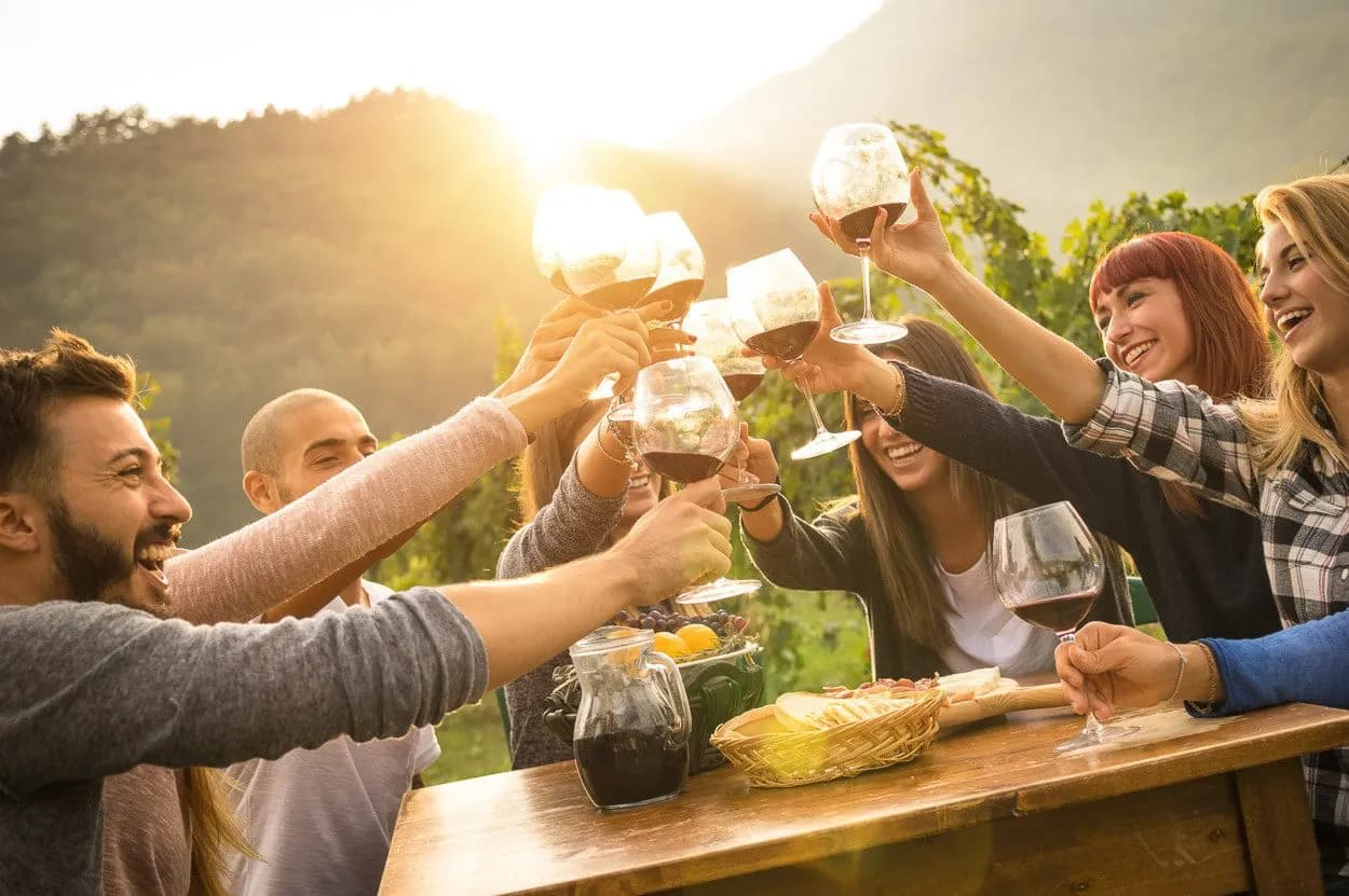 Friends toasting with red wine glasses outdoors at sunset in Goriska Brda vineyard setting.