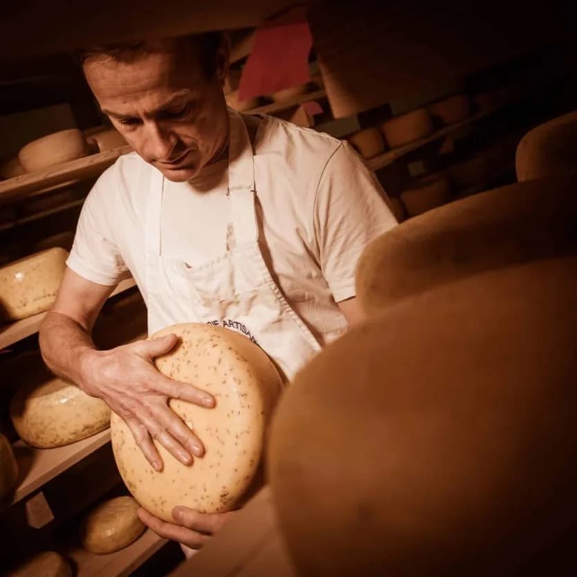 Artisan cheesemaker in white apron inspecting a wheel of cheese in a dimly lit aging cellar.