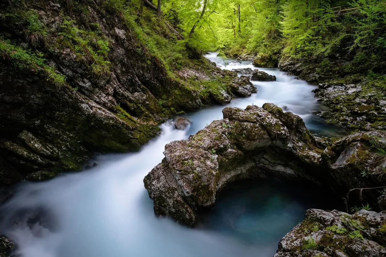 Fast-flowing turquoise river through rocky gorge with lush green forest in Vintgar, Slovenia.