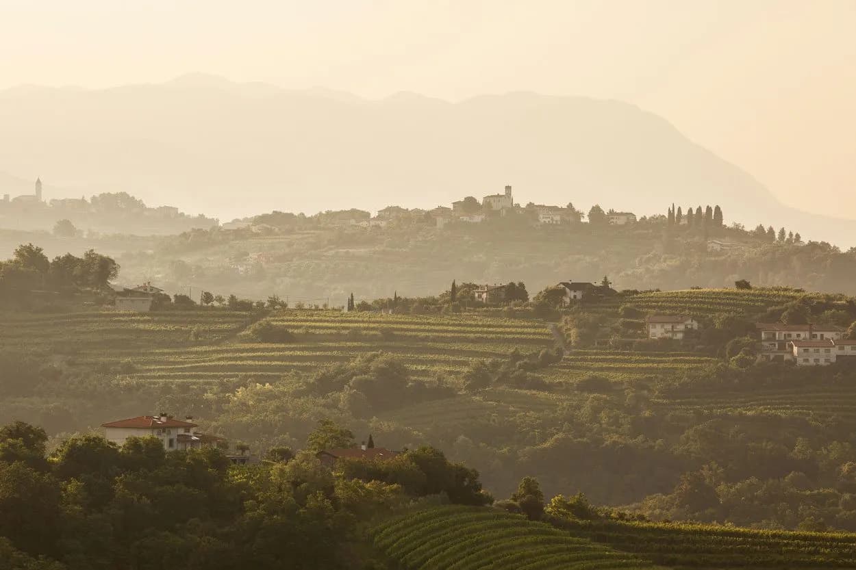 Terraced vineyards and hilltop villages in hazy light, Brda, Slovenia.