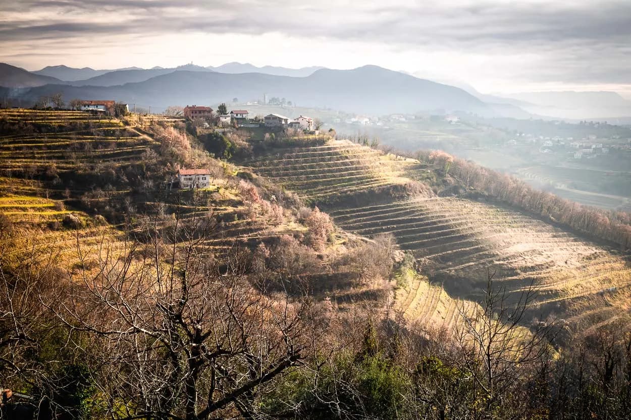 Terraced vineyards in Goriška Brda with houses nestled on the hillside and hazy mountains in the distance.