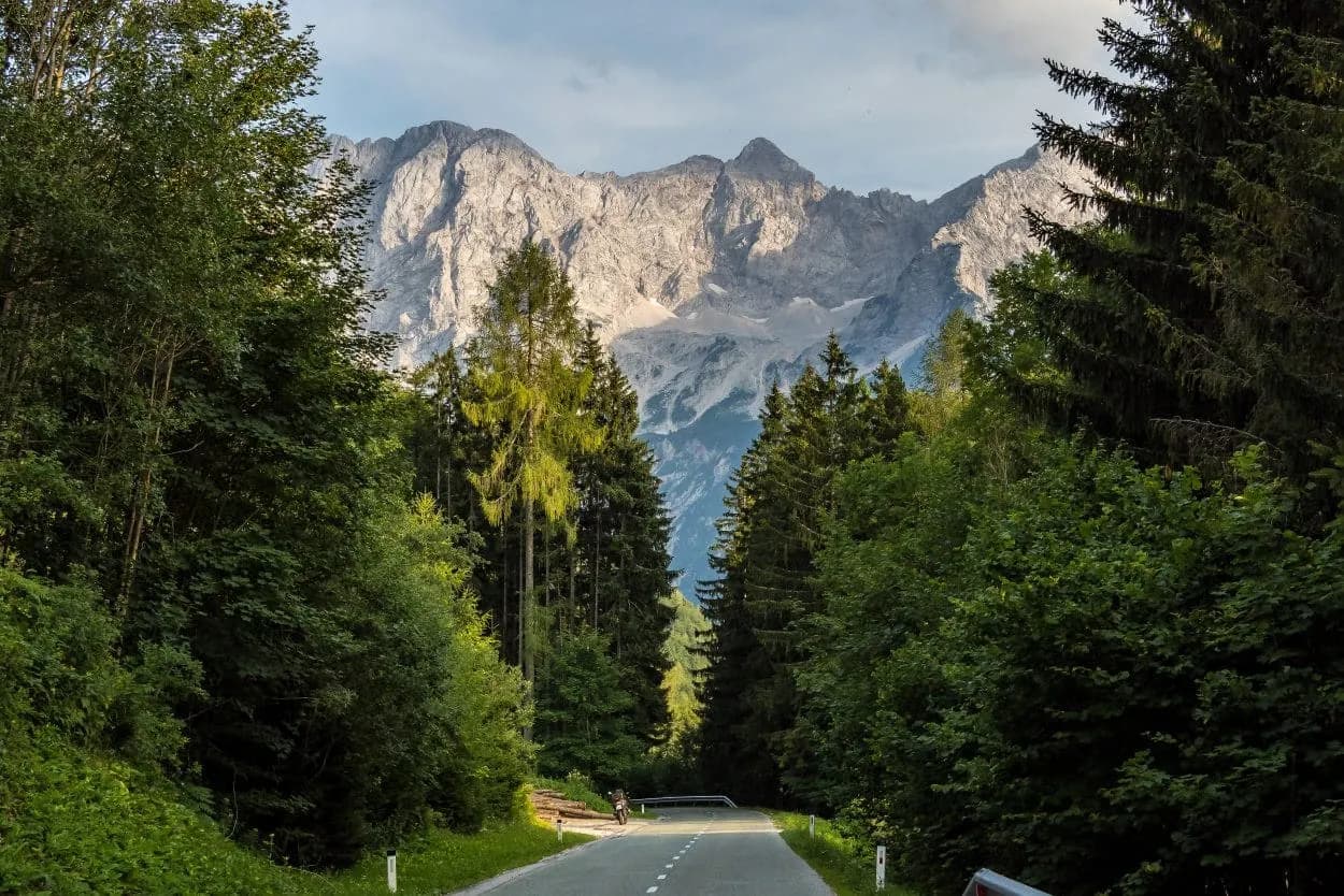 Mountain road through dense green forest leading toward rocky Kamnik-Savinja Alps in Jezersko.