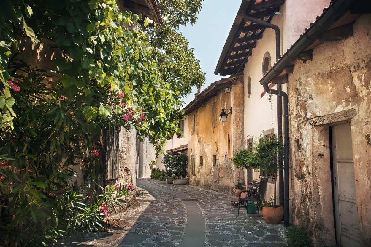 Narrow cobblestone street in a sunny village with vine-covered walls and potted plants