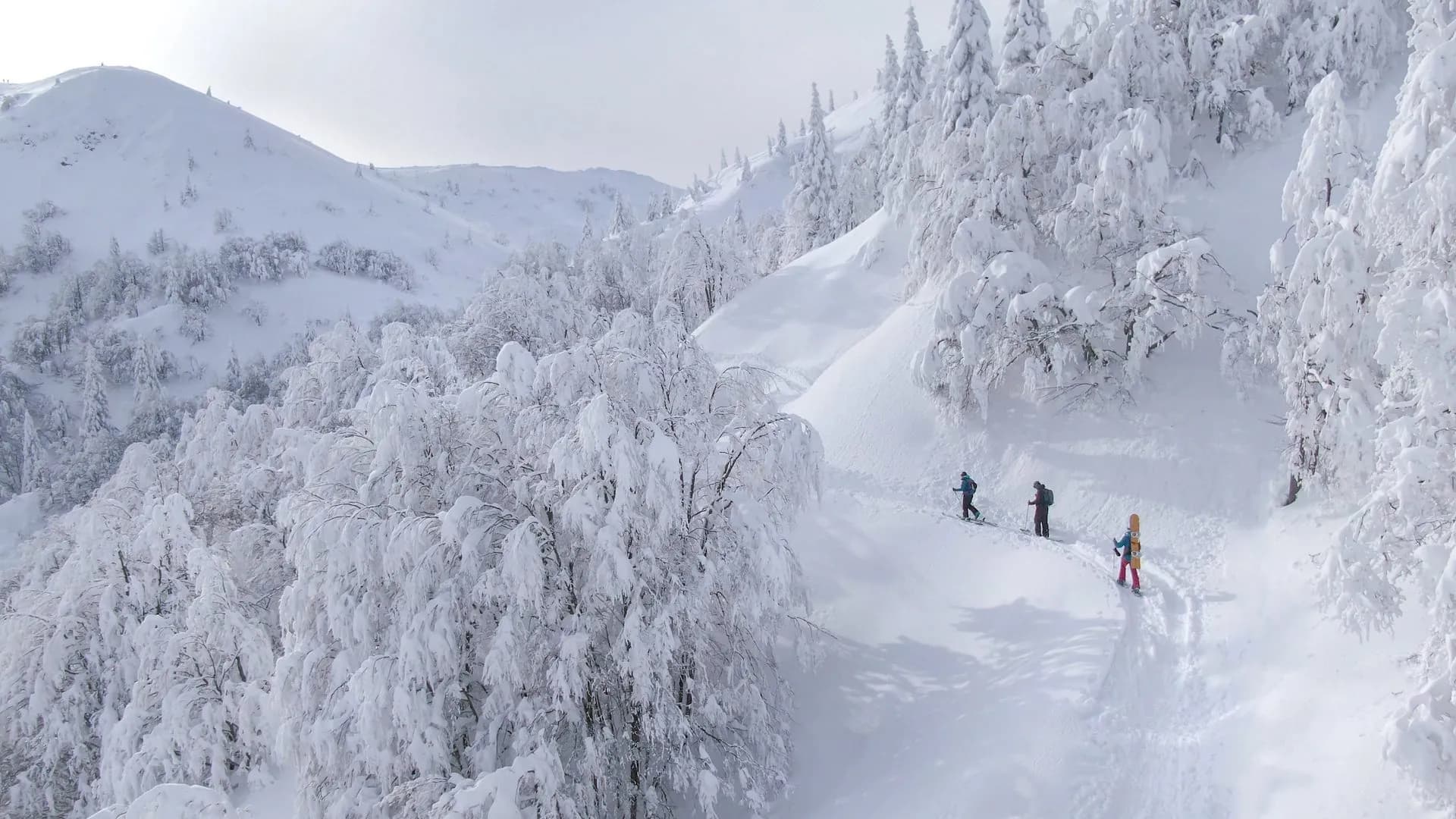 Ski touring above Vršič Pass with three people ascending deep snow through snow-covered trees.
