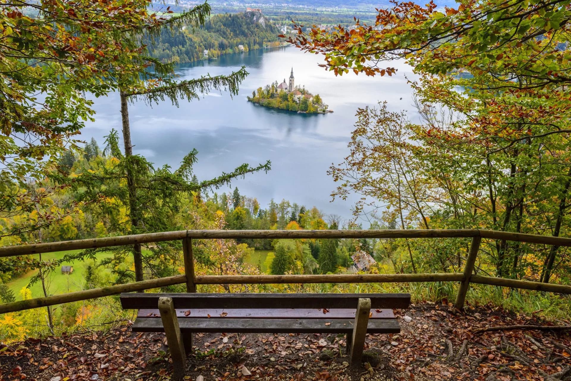 View from hill overlooking Lake Bled island church framed by autumn foliage and wooden railing.