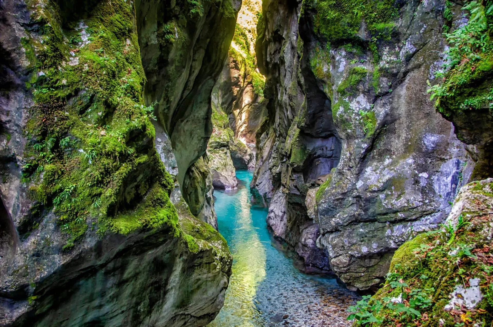 Turquoise river flowing through narrow Tolmin Gorges with moss-covered canyon walls