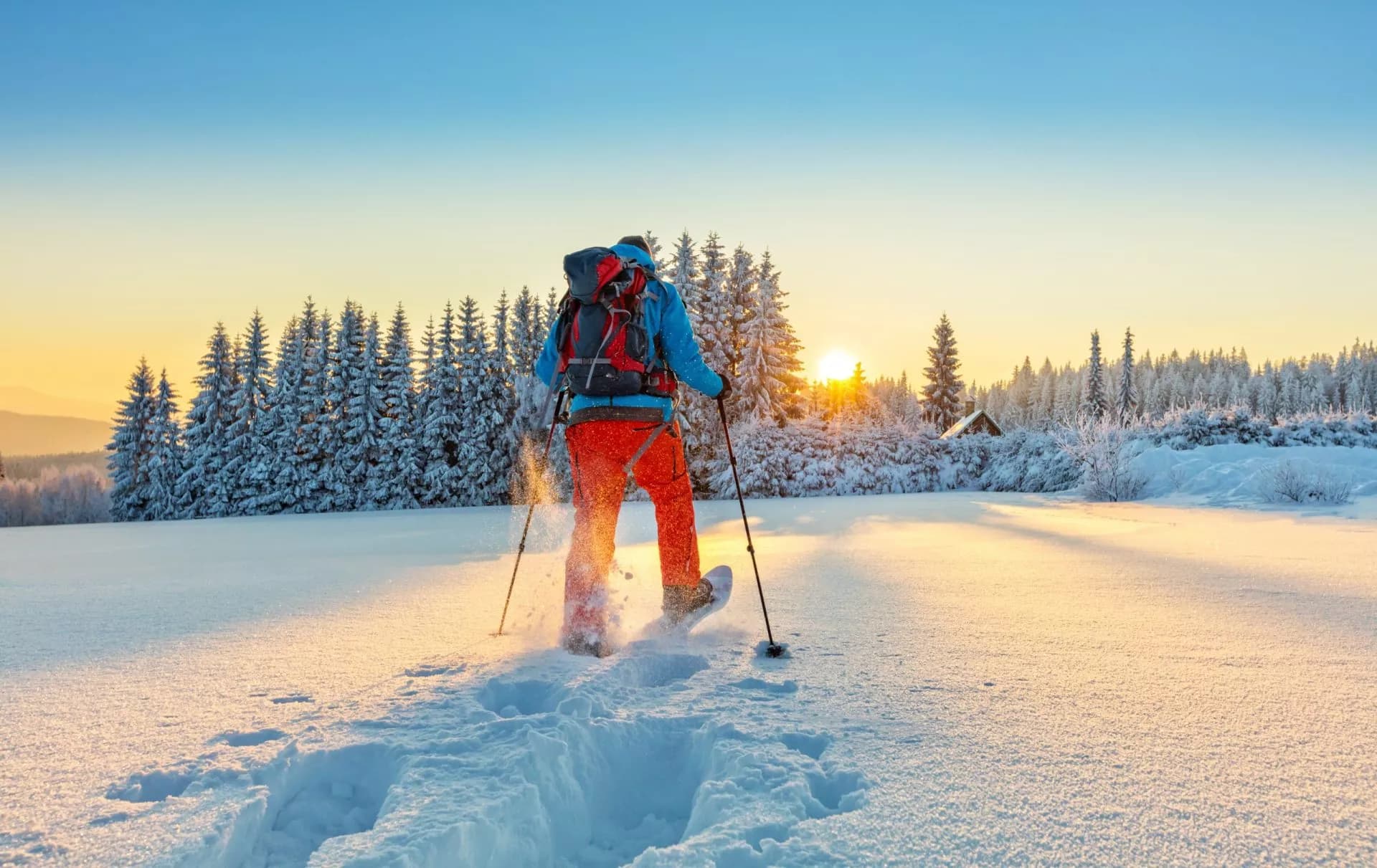 Snowshoeing in Slovenia through deep snow at sunrise near a frosted forest.