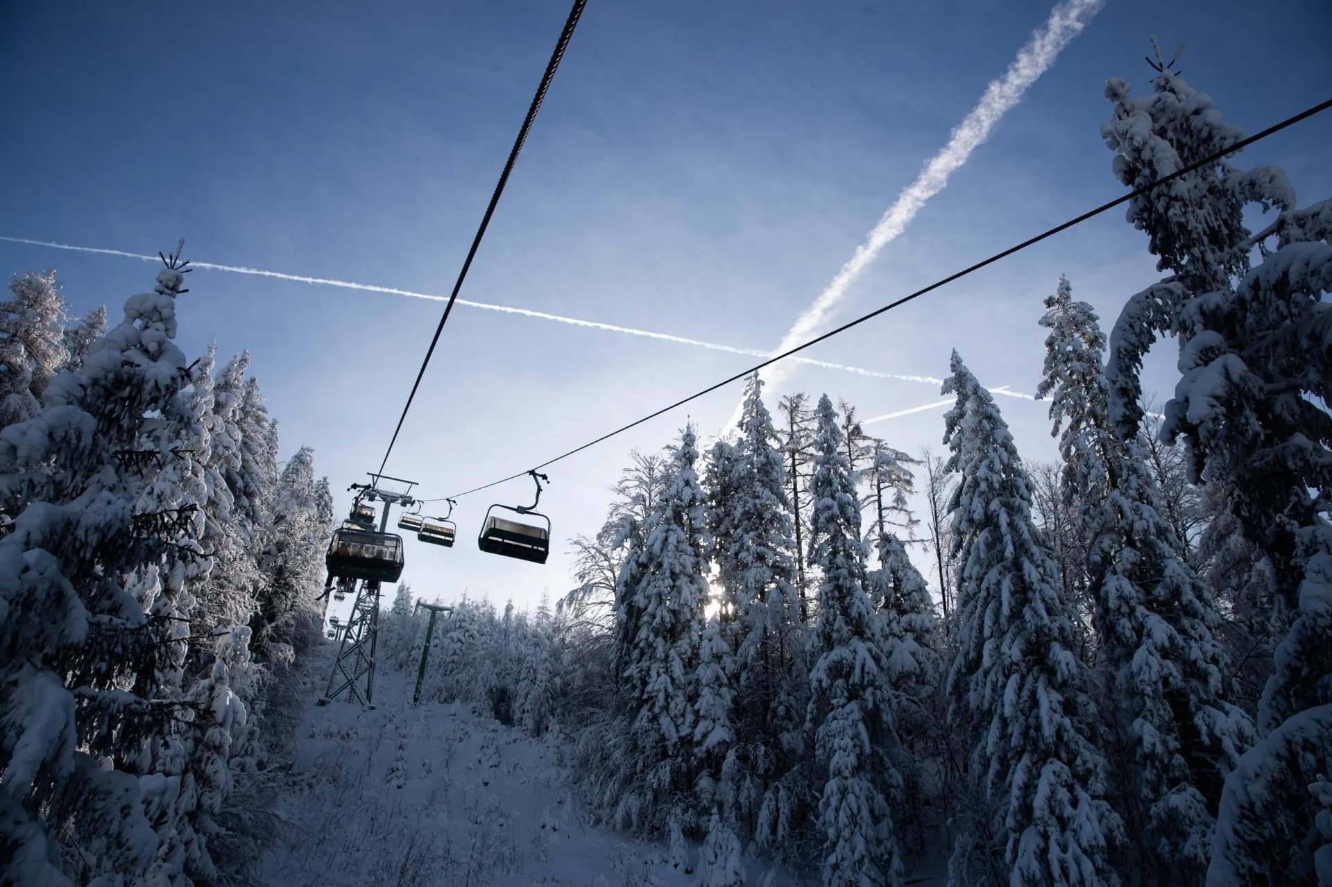 Ski lift gondolas ascending over snow-covered pine forest under a bright blue sky with contrails.