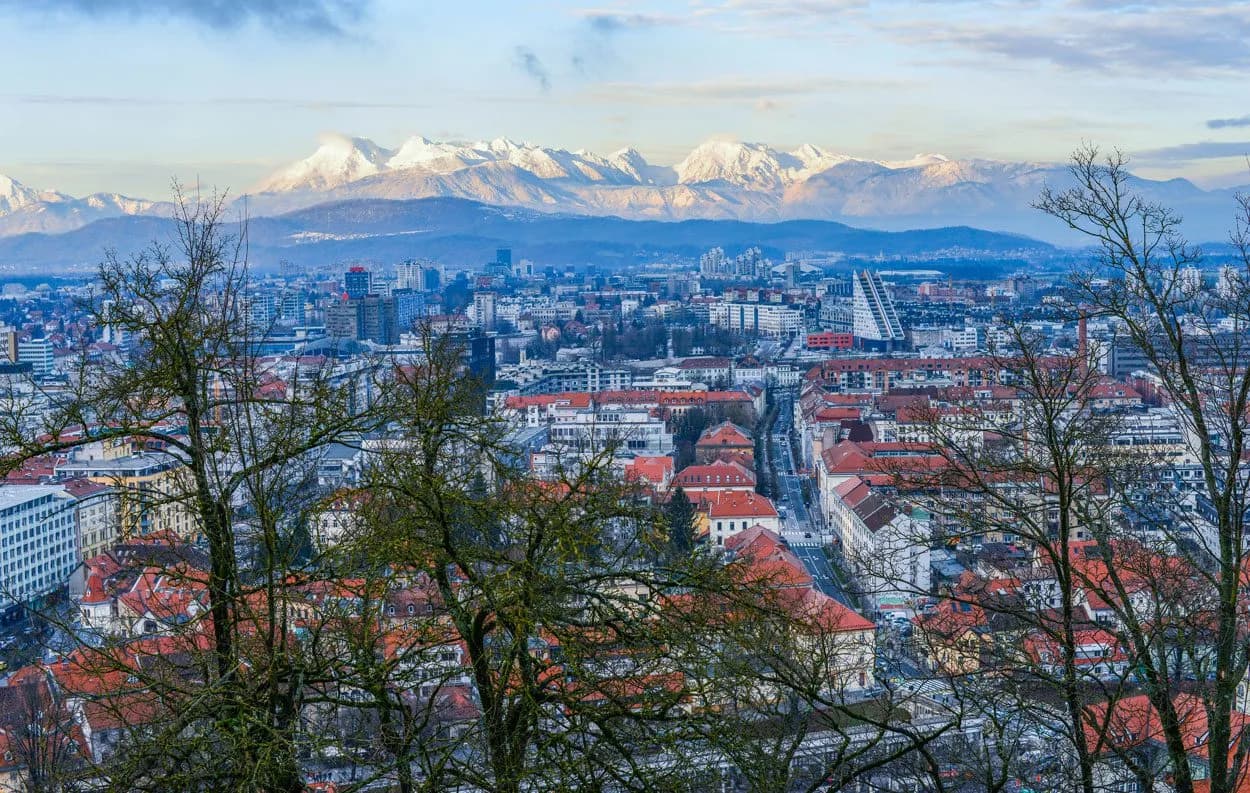 View of Ljubljana city rooftops with snow-capped Julian Alps in the background, seen through bare trees.