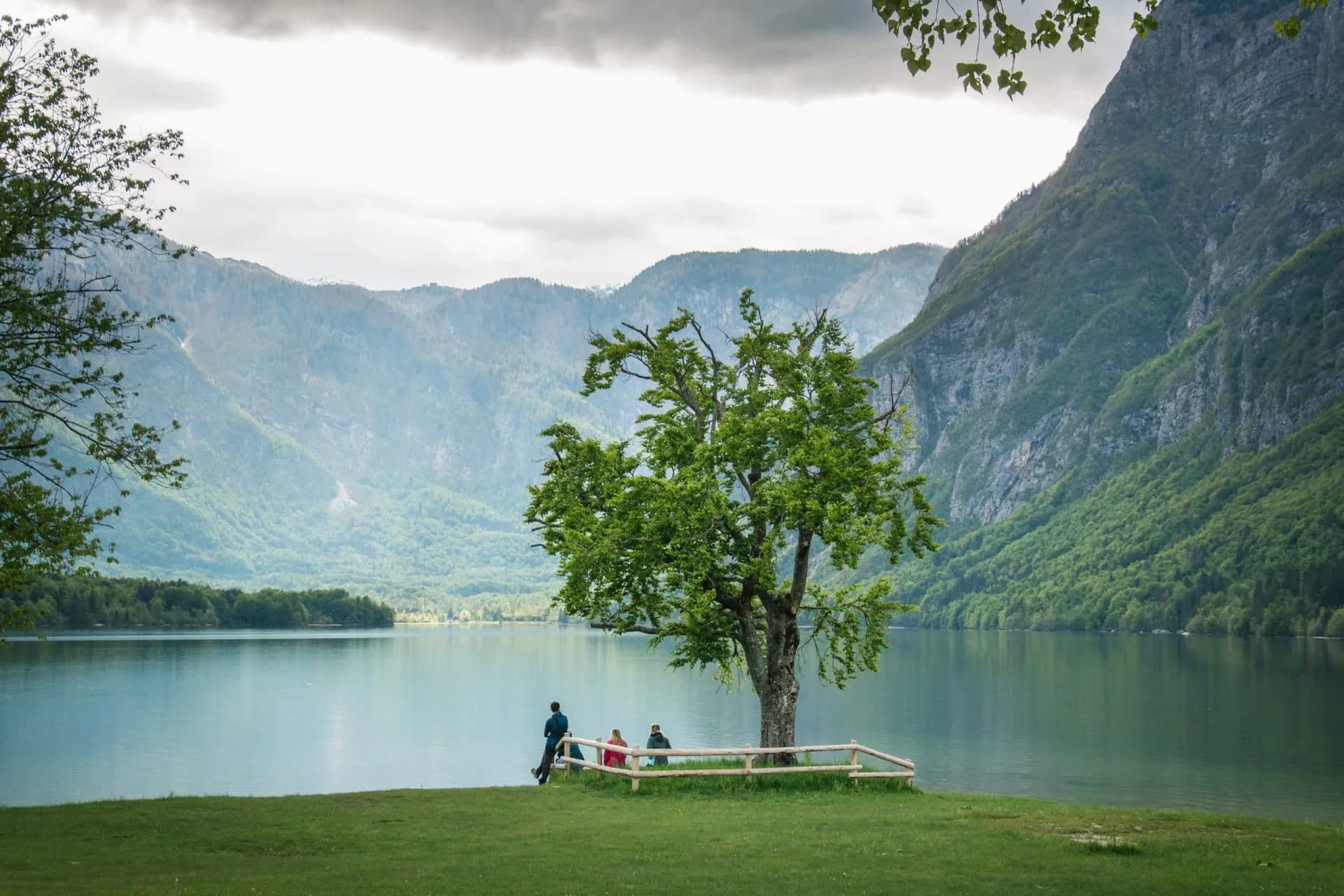 People relaxing by a tree near Lake Bohinj with steep, forested mountains under a cloudy sky.