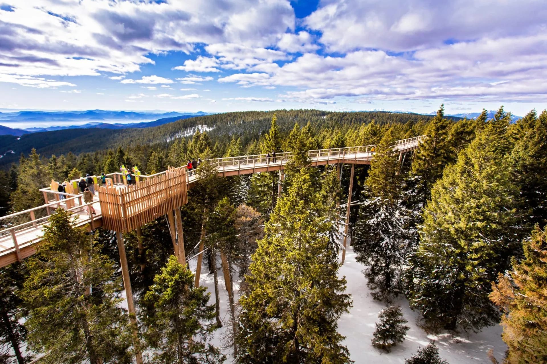 Treetop walk at Rogla over snowy forest with distant blue mountains under cloudy sky.