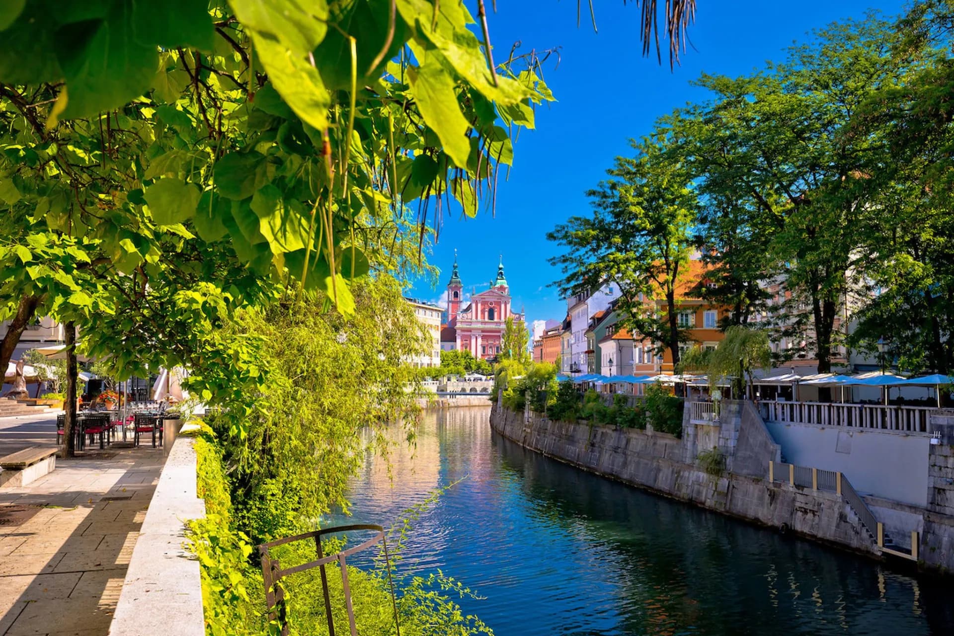 River in Ljubljana with green foliage framing the view toward the pink Franciscan Church.