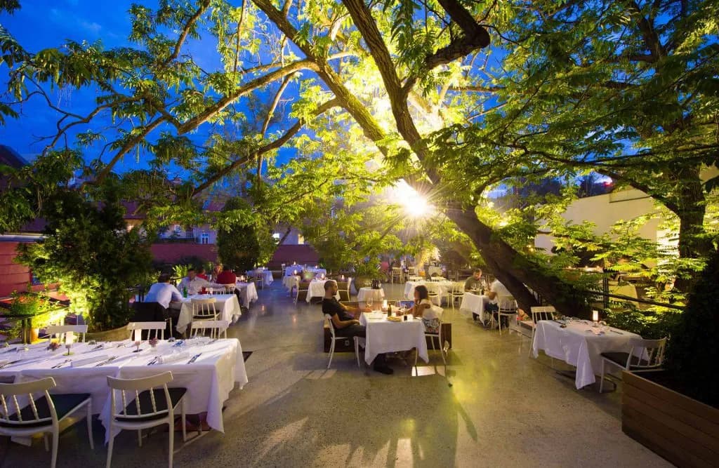 Outdoor restaurant patio dining under a large, illuminated tree at dusk.