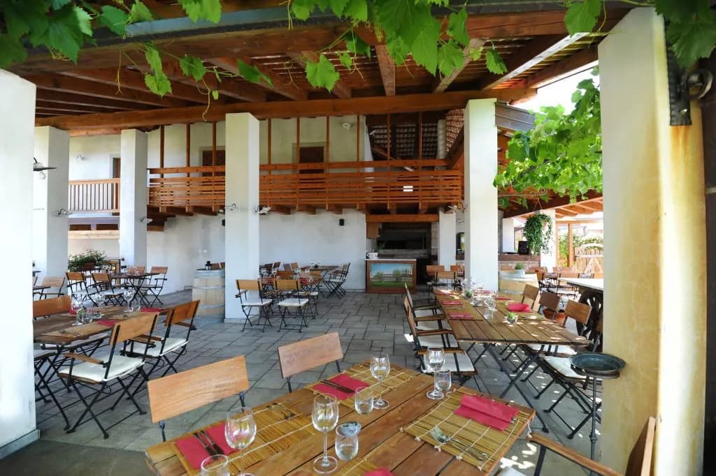 Outdoor restaurant patio with wooden tables, folding chairs, and overhead grapevines, likely at a winery.