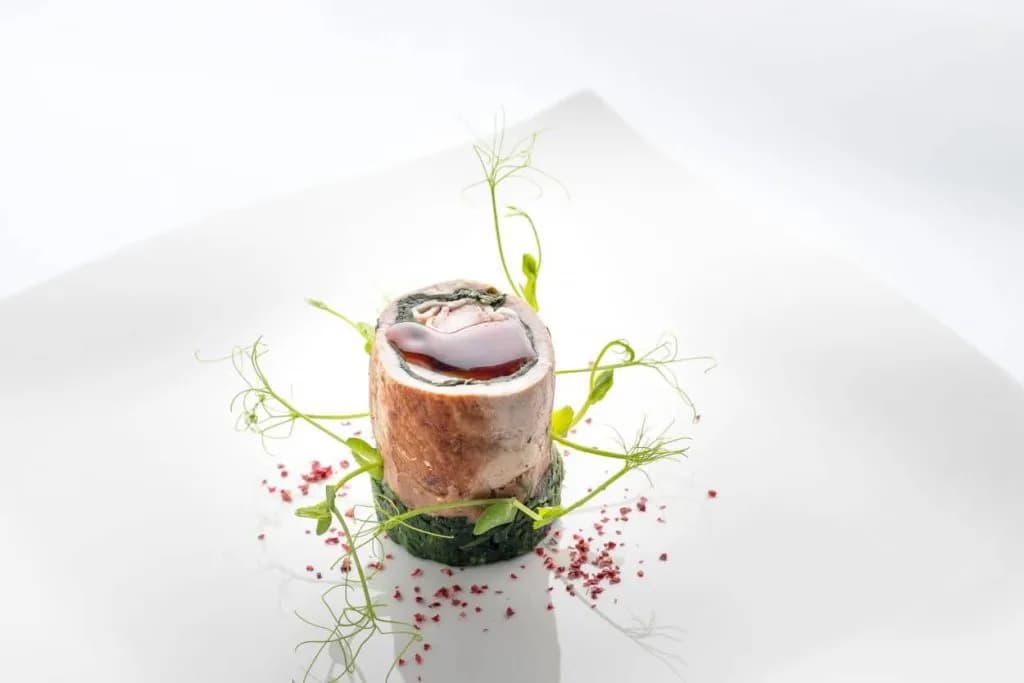 Gourmet meat roulade with dark sauce, microgreens, and red seasoning on a white plate.