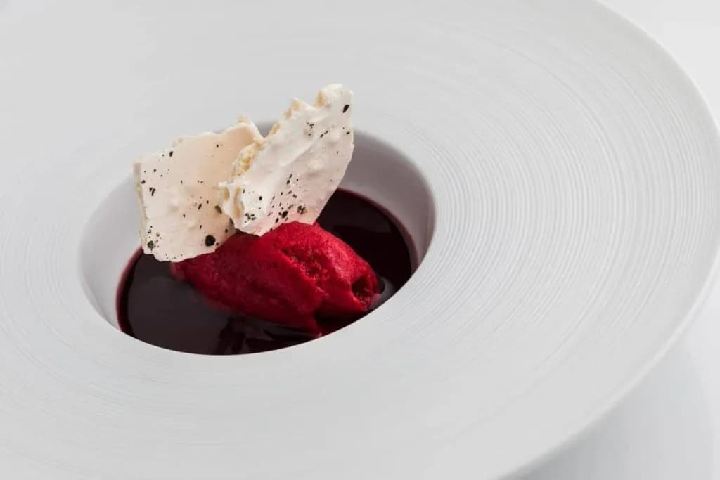 Red sorbet with dark sauce and meringue shards in a wide white textured bowl