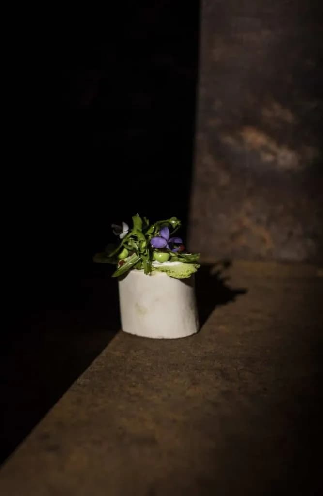Small appetizer on white base with green garnish and purple flowers on dark surface
