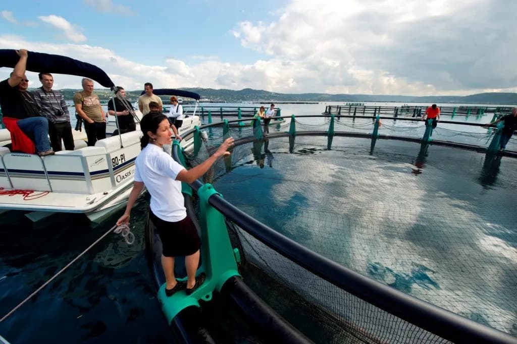 Tour group viewing circular fish farm enclosure from a boat on coastal water.