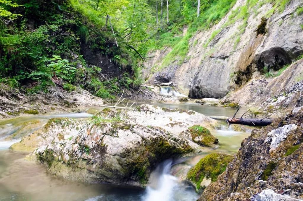 Iska River Gorge with stream flowing over mossy rocks and steep forested banks