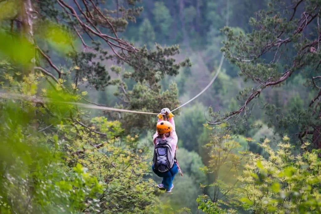 Ziplining over lush green forest canopy near Bled, Slovenia.