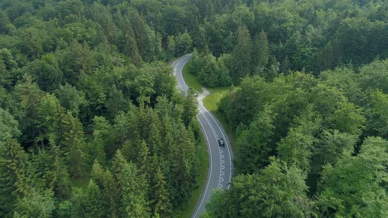 Winding road through dense green forest with a car driving on the curve.